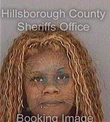Simon Chauncey - Hillsborough County, FL 
