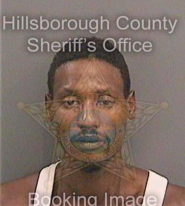 Bogany Michael - Hillsborough County, FL 