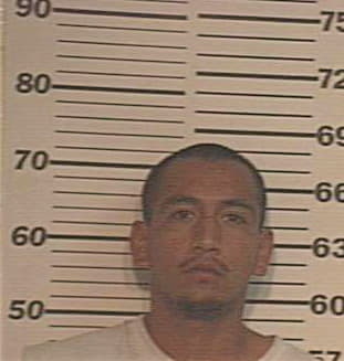 Hernandez Gumesindo - Hidalgo County, TX 