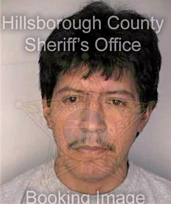 Mendoza Jesus - Hillsborough County, FL 