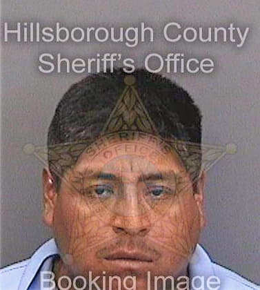 Salinasgutierrez Urbino - Hillsborough County, FL 