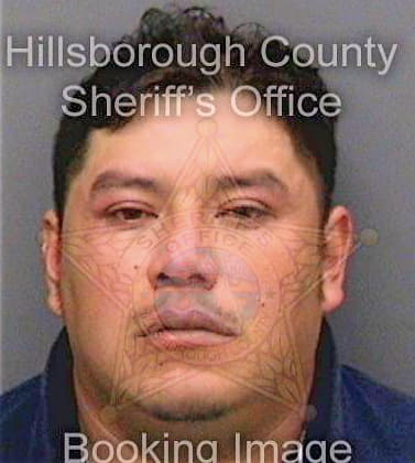 Perez Carlos - Hillsborough County, FL 