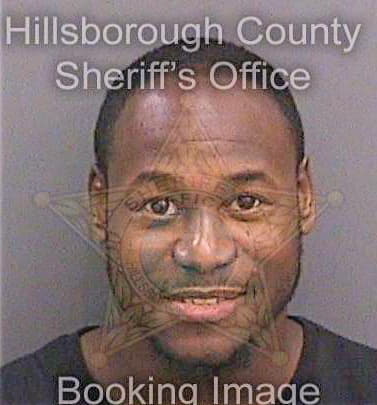 Silhomme Alex - Hillsborough County, FL 