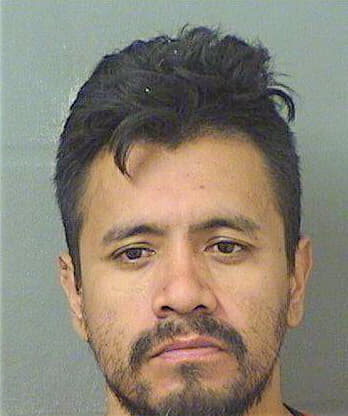 Hernandezherandez Luis - PalmBeach County, FL 