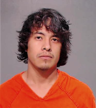 Hernandez Erwin - Hidalgo County, TX 