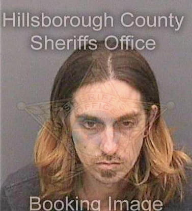 Vining Joshua - Hillsborough County, FL 