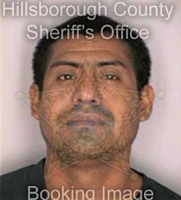 Lopez Francisco - Hillsborough County, FL 