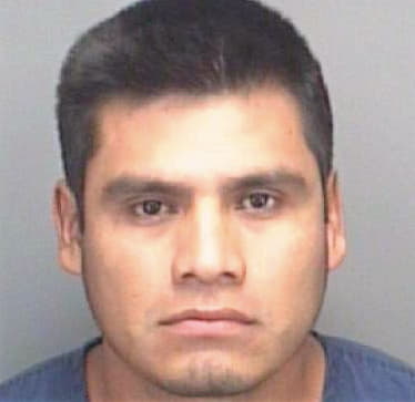 Hernandez Modesto - Pinellas County, FL 