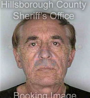 Gorelov Viktor - Hillsborough County, FL 