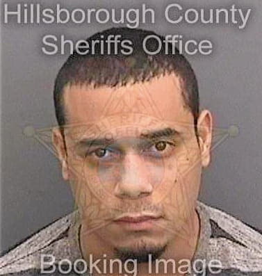 Gonzalezmendez Manuel - Hillsborough County, FL 