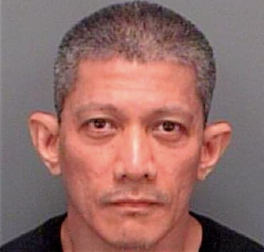 Hilario Ramon-Roland - Pinellas County, FL 