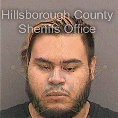 Chavez Santiago - Hillsborough County, FL 