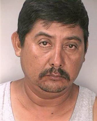 Gonzalez Mario - Hillsborough County, FL 