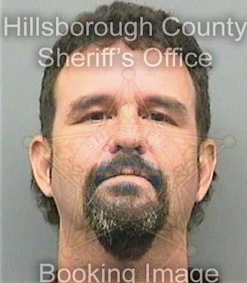 Davila David - Hillsborough County, FL 