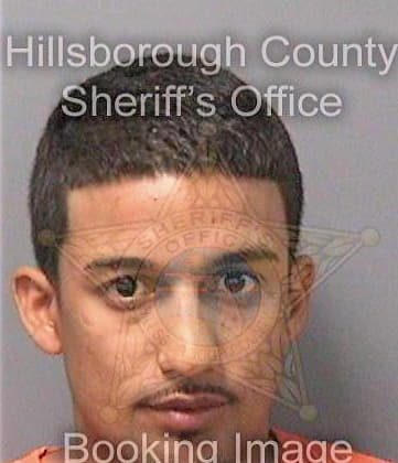 Ferrer Jonathan - Hillsborough County, FL 