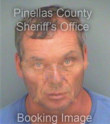 Bakos Michael - Pinellas County, FL 