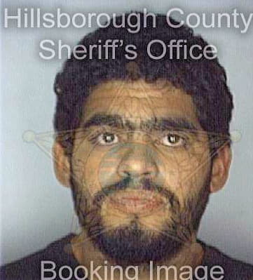 Medina William - Hillsborough County, FL 