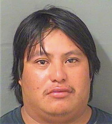 Andres Julio - PalmBeach County, FL 