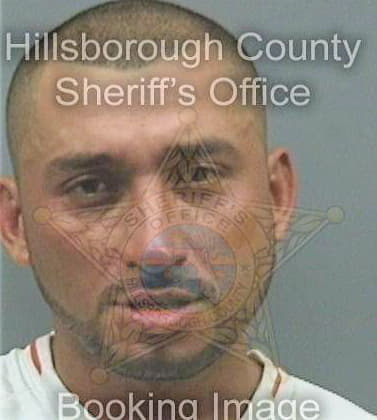 Caraballoostolaza Kelvin - Hillsborough County, FL 