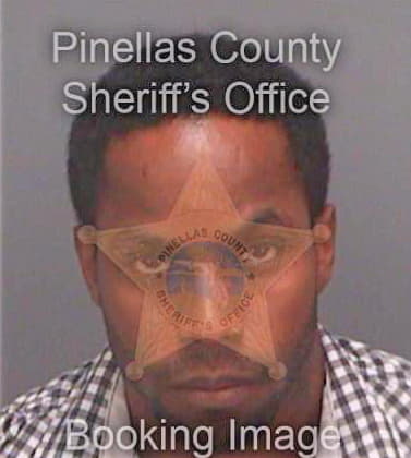 Rodriguez Michael - Pinellas County, FL 