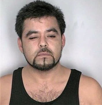 Santiago Hermanegilda - Hillsborough County, FL 