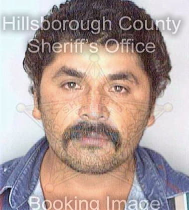 Gonzalez Valentin - Hillsborough County, FL 