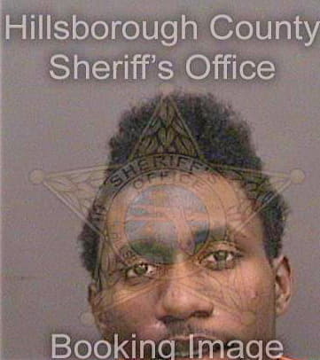 Seiforth Jamanie - Hillsborough County, FL 