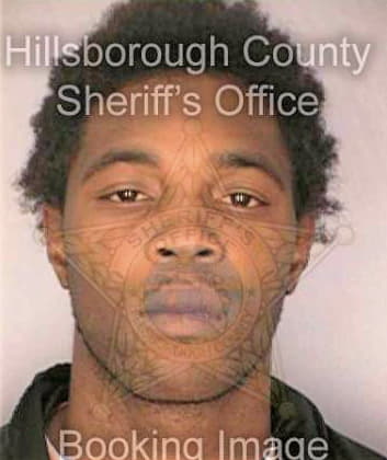 Mckinley George - Hillsborough County, FL 