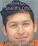 Hernandez Bryan - Pinellas County, FL 