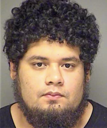 Rodriguez David - Denton County, TX 