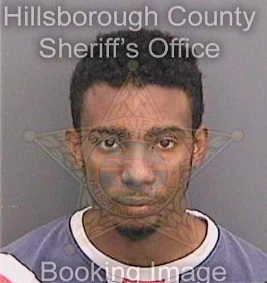 Davis Brian - Hillsborough County, FL 