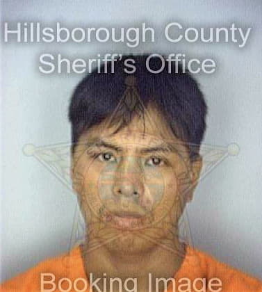 Medinabotello Isidro - Hillsborough County, FL 