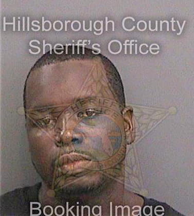 Black Queodatus - Hillsborough County, FL 