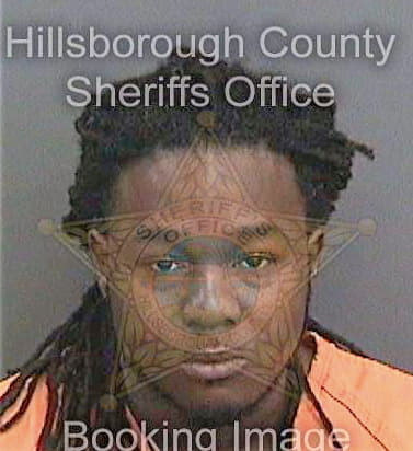 Griffin Joshua - Hillsborough County, FL 