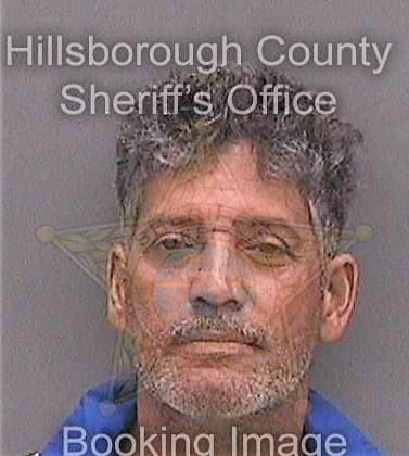 Carmona Angel - Hillsborough County, FL 