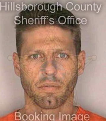 Michniak Michael - Hillsborough County, FL 