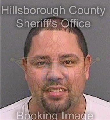 Maldonado Ricardo - Hillsborough County, FL 