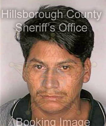 Gonzalez Romero - Hillsborough County, FL 