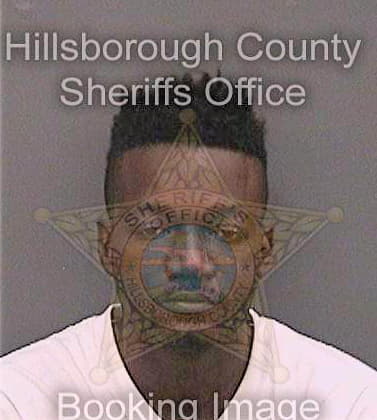 Polite Marquist - Hillsborough County, FL 