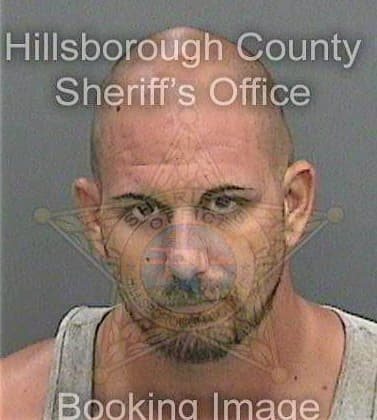 Tomer Robert - Hillsborough County, FL 