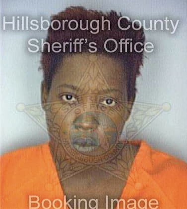 Mcdonald Tiffany - Hillsborough County, FL 