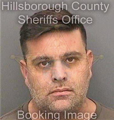 Dickman David - Hillsborough County, FL 