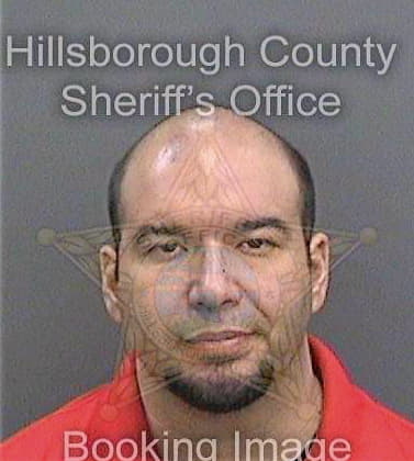 Panagiotopoulos George - Hillsborough County, FL 