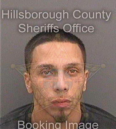 Dejesus Michael - Hillsborough County, FL 