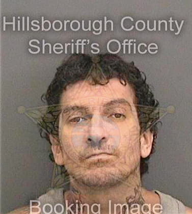 Diana Damian - Hillsborough County, FL 