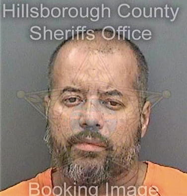 Pedroza Jose - Hillsborough County, FL 