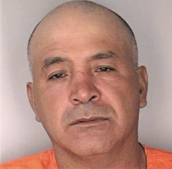 Martinezramirez Moises - Hillsborough County, FL 