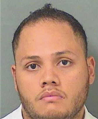 Jimenez Yerson - PalmBeach County, FL 