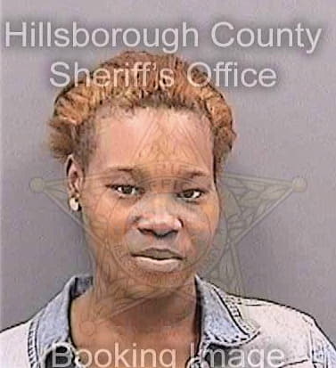 Neves Akilah - Hillsborough County, FL 