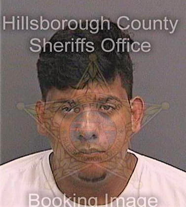 Guevara Gustavo - Hillsborough County, FL 